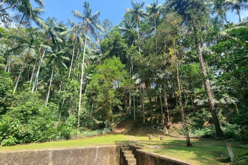 فيلا Natureza Instagrmavel Casa Penedo بينيدو المظهر الخارجي الصورة